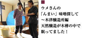 ウメさんの「んまい」味噌探して～木津醸造所編天然醸造が木樽の中で眠ってました！