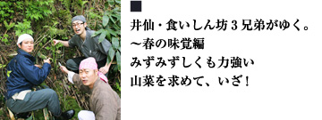 井仙・食いしん坊3兄弟がゆく。〜春の味覚編 みずみずしくも力強い 山菜を求めて、いざ!