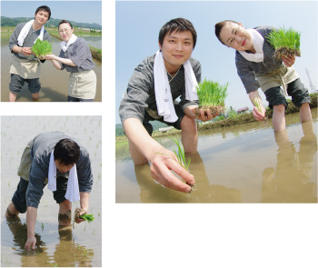 田植え